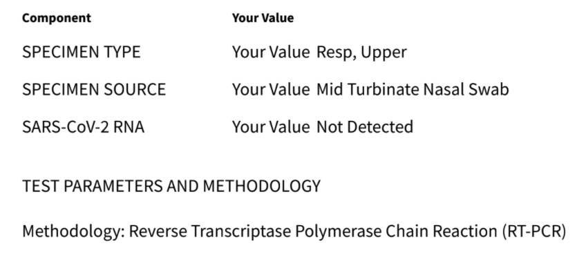 RT-PCR results